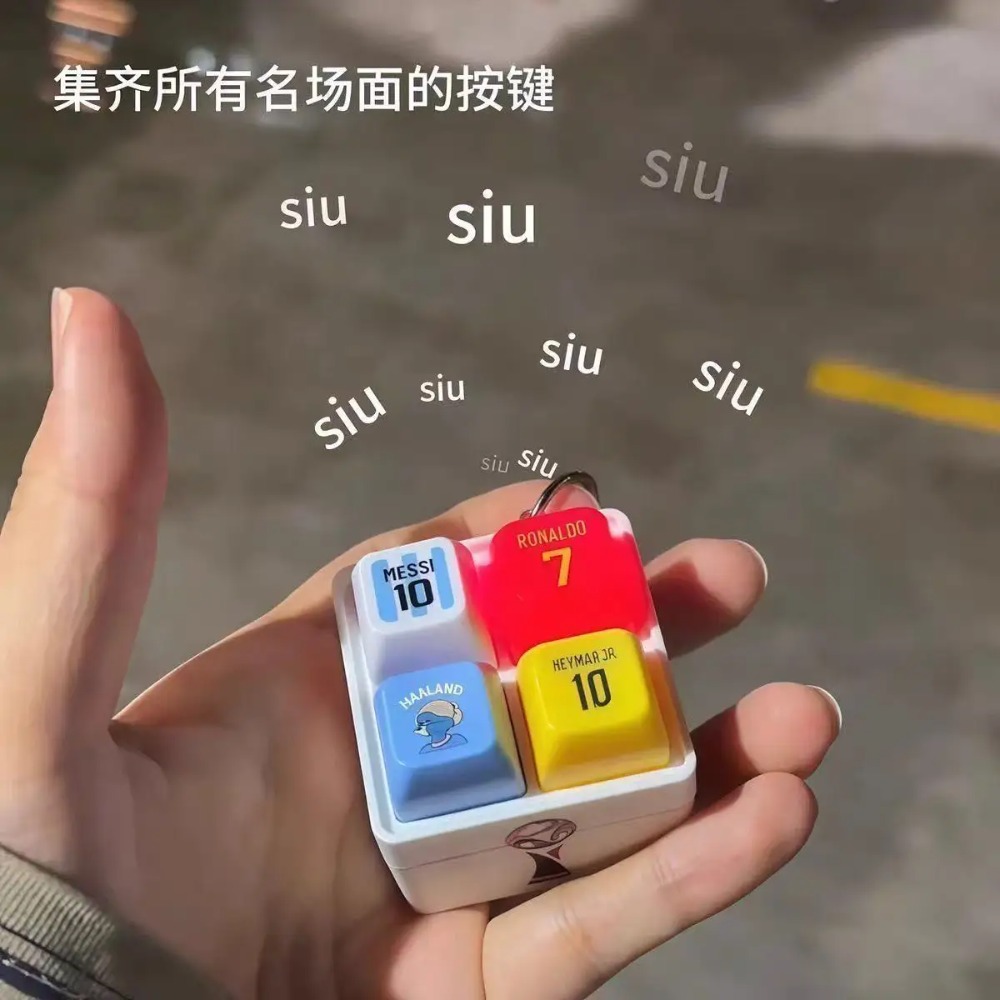 Haaland Fun Button Keychain So - Prank Toys 评论和价格